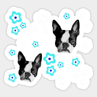 Boston Terrier Gifts Sticker